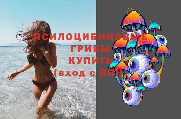 прущие грибы Алексеевка