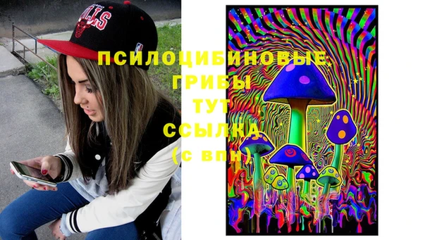 скорость Алексин