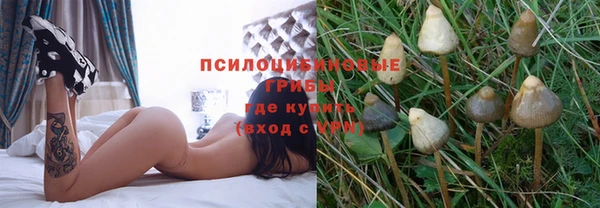 прущая мука Алзамай