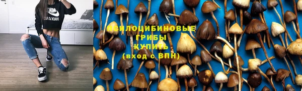 прущие грибы Алексеевка